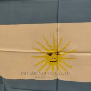 Argentina Flag Large 40X60 Inches