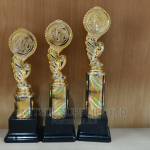 School Science Competition Trophy Set of 3.