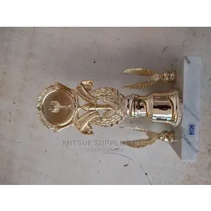 Volleyball Tournament Best Young Player Trophy- 9.2".