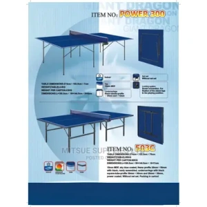 Professional Table Tennis Table Without Wheels.