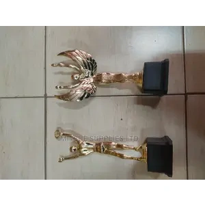 Multi-Purpose Sport/Competition Trophy ( Male or Female)