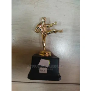 Karate/ Taekwondo Winner Runner Up Trophy-17cm