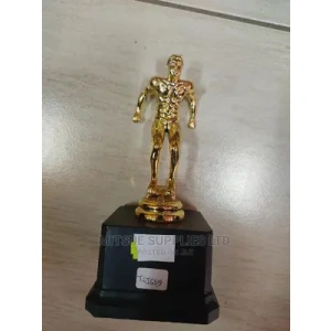 Male Swimming Competition Individual Trophy.