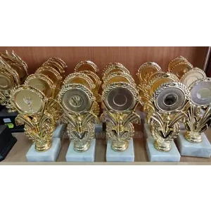 Miscellaneous Trophies for Any Sport Awarding.