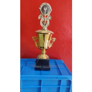 Rugby Tournament Victory Trophy- 17 Inches.