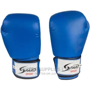 A Pair of Professional Boxing Gloves 14 Oz BLue.