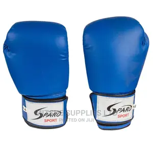 A Pair of Professional Boxing Gloves 14 Oz BLue.