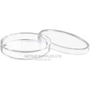 A Set of 10 Petri Dish 55mm Glass