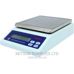 Electronic Balance.