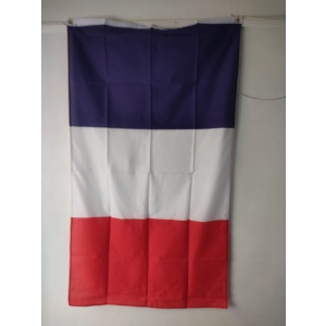 Flag for France