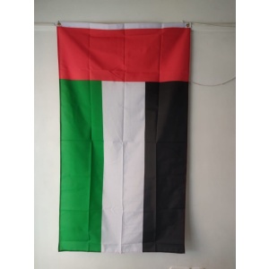 Flag of United Arab Emirates