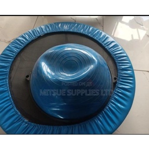 Bosu Ball - blue ball with black Abs base